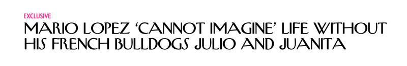 Illustration for article titled Even the Dumbest Us Weekly Headlines Look Great In New Yorker Font